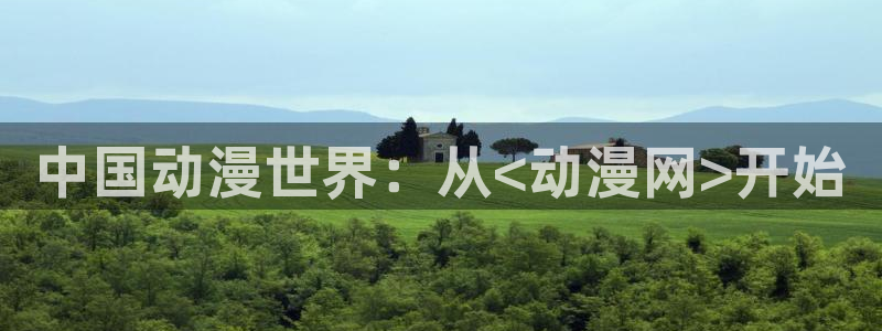 虫虫漫画电脑在线看:中国动漫世界:从<动漫网>开始配图