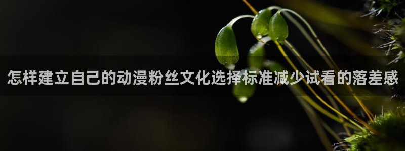 虫虫漫画高清:怎样建立自己的动漫粉丝文化选择标准减少试看的落差感配图