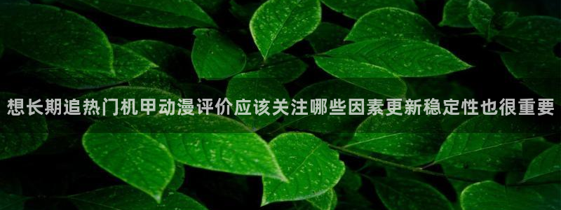 虫虫漫画目录：想长期追热门机甲动漫评价应该关注哪些因素更新稳定性也很重要配图