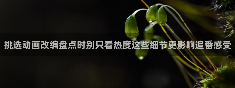 虫虫漫画中文阅读：挑选动画改编盘点时别只看热度这些细节更影响追番感受配图