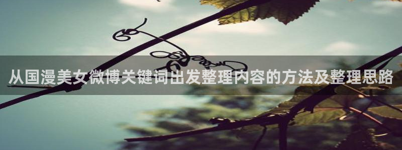 虫虫漫画在线大全阅读:从国漫美女微博关键词出发整理内容的方法及整理思路配图