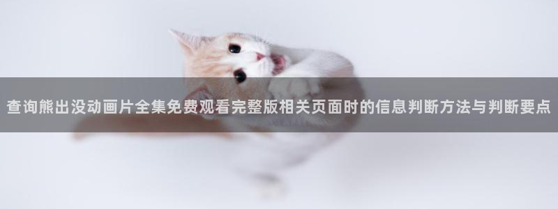 虫虫漫画大全排行:查询熊出没动画片全集免费观看完整版相关页面时的信息判断方法与判断要点配图